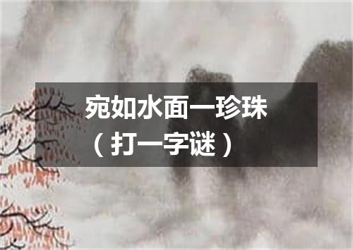 宛如水面一珍珠（打一字谜）