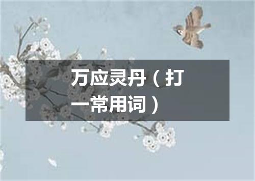 万应灵丹（打一常用词）