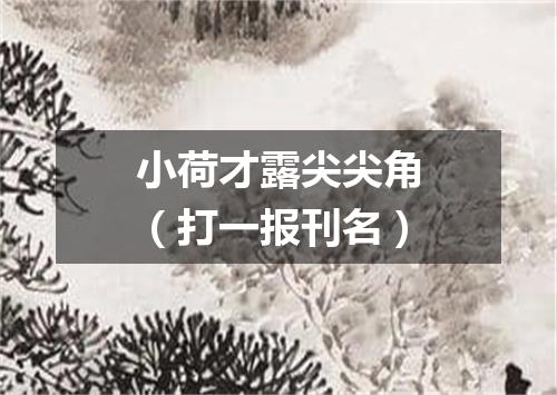 小荷才露尖尖角（打一报刊名）