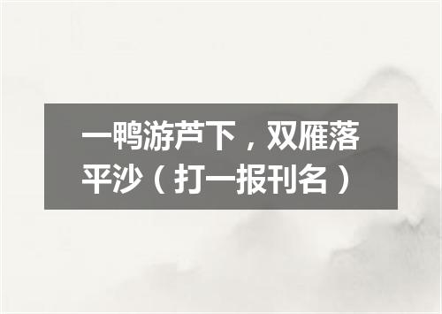 一鸭游芦下，双雁落平沙（打一报刊名）