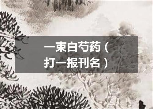 一束白芍药（打一报刊名）