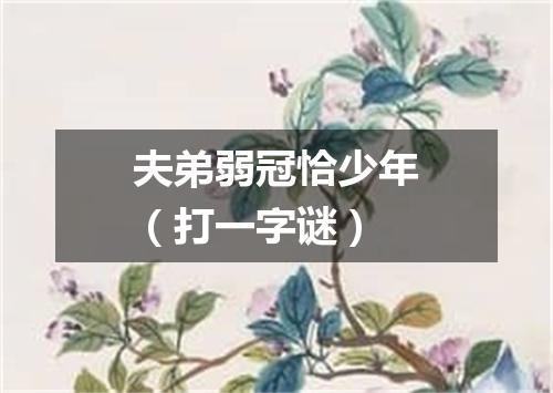 夫弟弱冠恰少年（打一字谜）