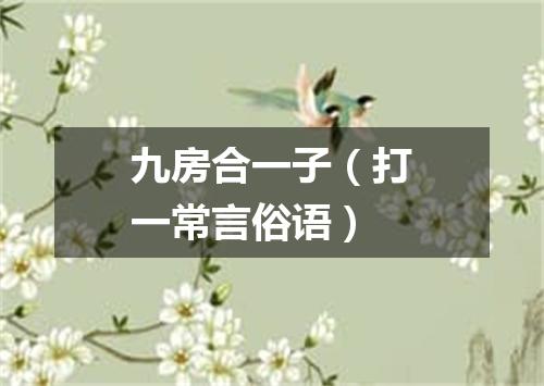 九房合一子（打一常言俗语）