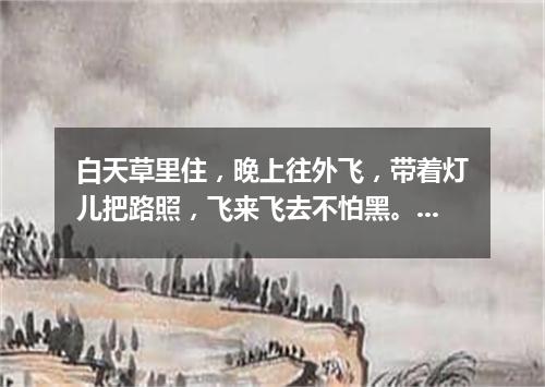 白天草里住，晚上往外飞，带着灯儿把路照，飞来飞去不怕黑。（打一动物）