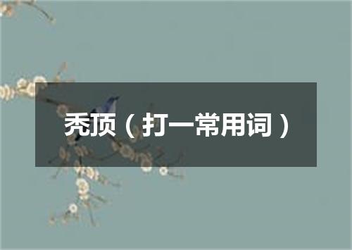 秃顶（打一常用词）