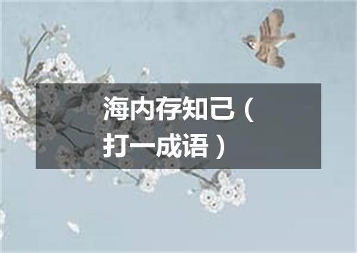 海内存知己（打一成语）