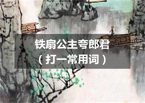 铁扇公主夸郎君（打一常用词）