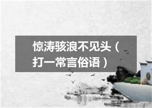 惊涛骇浪不见头（打一常言俗语）