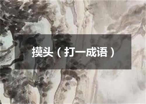 摸头（打一成语）