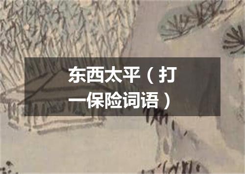 东西太平（打一保险词语）