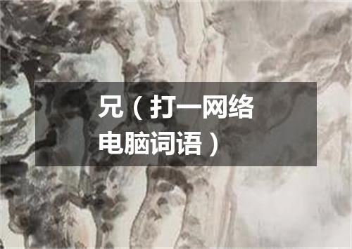 兄（打一网络电脑词语）