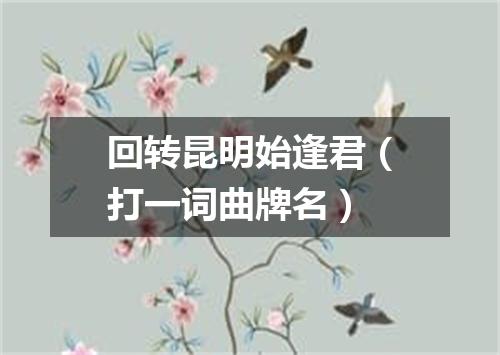 回转昆明始逢君（打一词曲牌名）