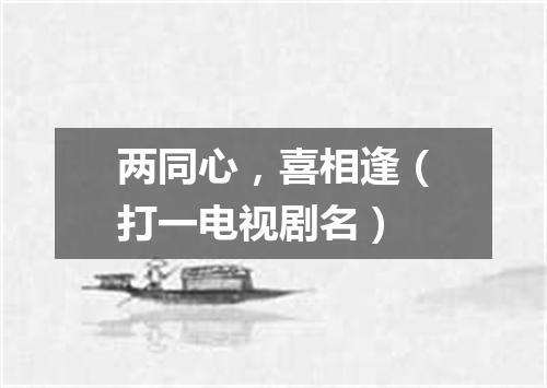 两同心，喜相逢（打一电视剧名）