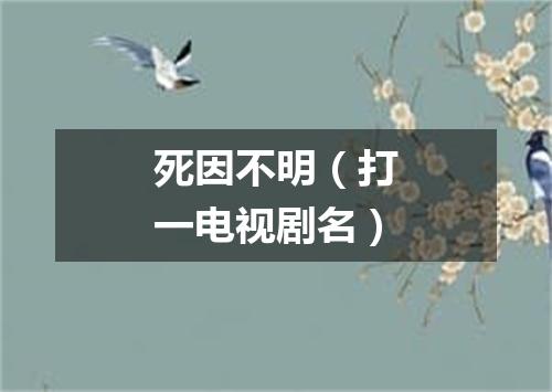死因不明（打一电视剧名）