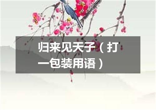 归来见天子（打一包装用语）