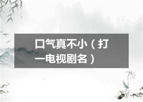 口气真不小（打一电视剧名）
