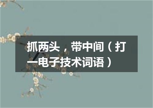 抓两头，带中间（打一电子技术词语）