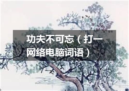 功夫不可忘（打一网络电脑词语）