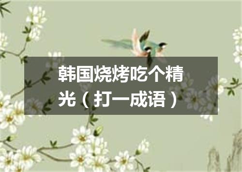 韩国烧烤吃个精光（打一成语）