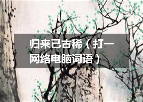 归来已古稀（打一网络电脑词语）