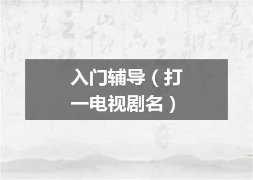 入门辅导（打一电视剧名）