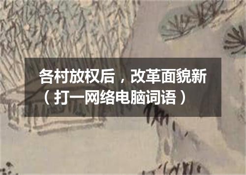 各村放权后，改革面貌新（打一网络电脑词语）