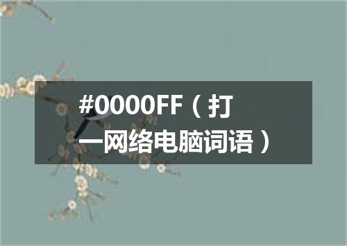 #0000FF（打一网络电脑词语）