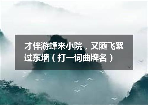 才伴游蜂来小院，又随飞絮过东墙（打一词曲牌名）
