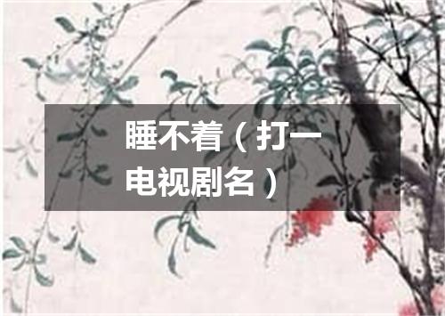 睡不着（打一电视剧名）