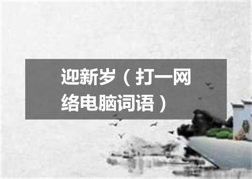 迎新岁（打一网络电脑词语）