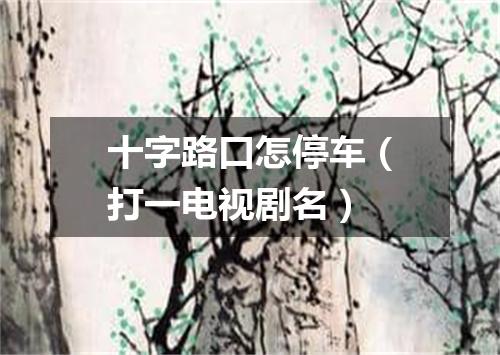 十字路口怎停车（打一电视剧名）
