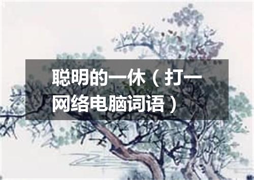 聪明的一休（打一网络电脑词语）
