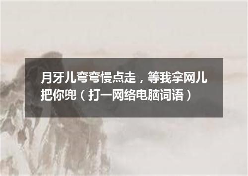 月牙儿弯弯慢点走，等我拿网儿把你兜（打一网络电脑词语）