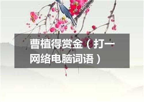 曹植得赏金（打一网络电脑词语）