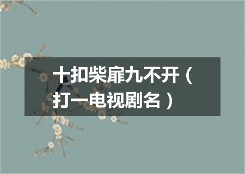 十扣柴扉九不开（打一电视剧名）