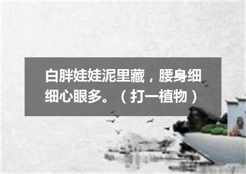 白胖娃娃泥里藏，腰身细细心眼多。（打一植物）