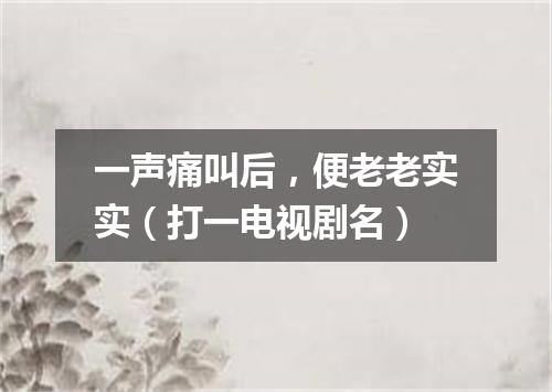 一声痛叫后，便老老实实（打一电视剧名）