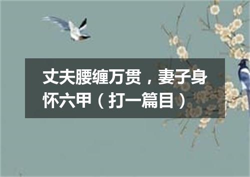 丈夫腰缠万贯，妻子身怀六甲（打一篇目）