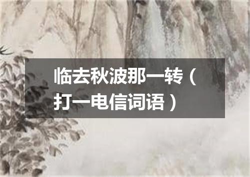 临去秋波那一转（打一电信词语）