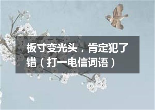 板寸变光头，肯定犯了错（打一电信词语）