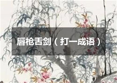 唇枪舌剑（打一成语）