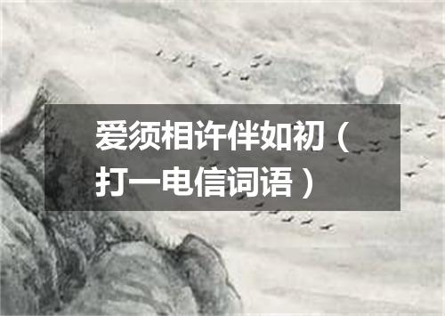 爱须相许伴如初（打一电信词语）