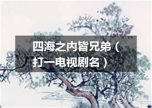 四海之内皆兄弟（打一电视剧名）