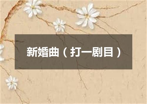 新婚曲（打一剧目）