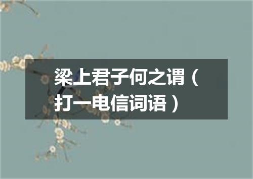 梁上君子何之谓（打一电信词语）