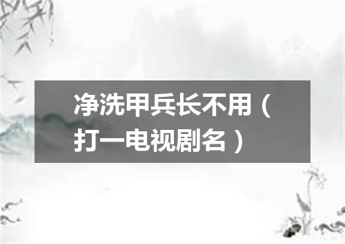 净洗甲兵长不用（打一电视剧名）