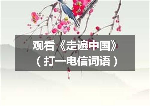 观看《走遍中国》（打一电信词语）