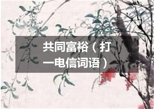 共同富裕（打一电信词语）