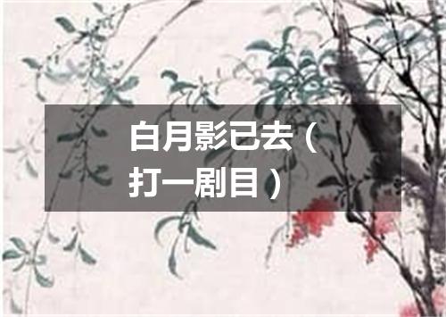 白月影已去（打一剧目）