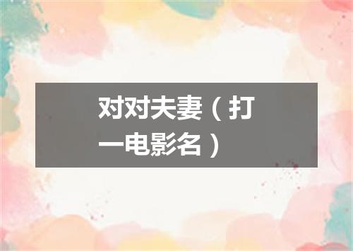 对对夫妻（打一电影名）